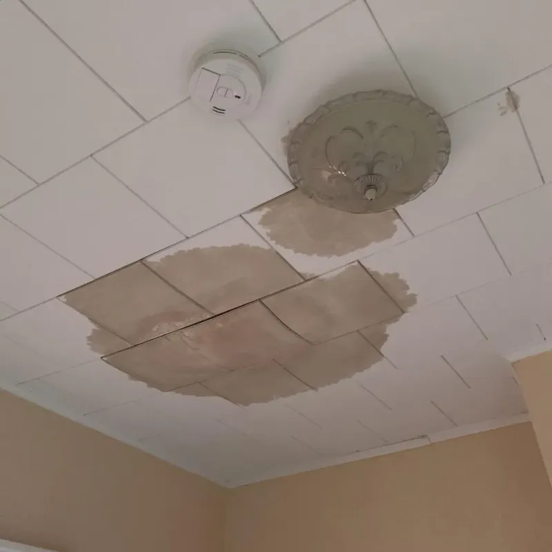 Ceiling Water Damage Repair in Holcomb, KS