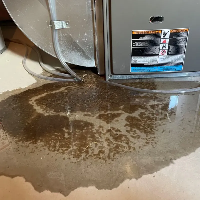 Pipe Burst and Leak Restoration in Holcomb, KS