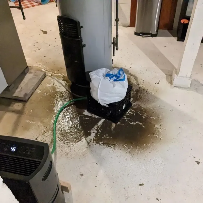 Sewage Backup Cleanup Service in Holcomb, KS